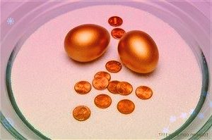 北鼎股份300824:Q1自主品牌保持快速增长